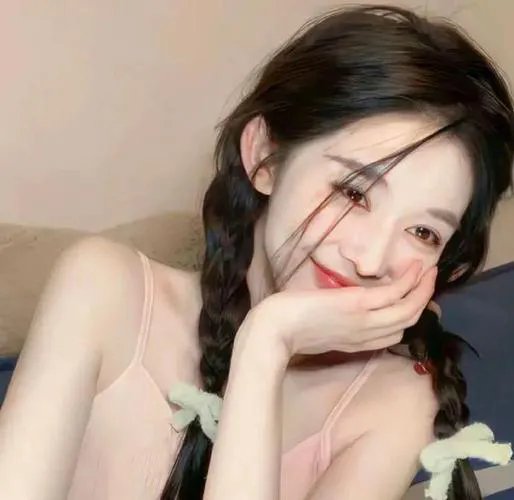 摄影师贝尔蒂与海豚零距离 在线观看